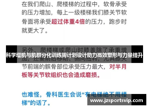 科学增肌与肌群分化训练周计划设计助力高效塑形与力量提升