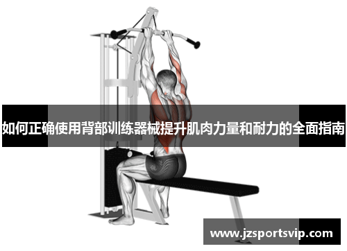 如何正确使用背部训练器械提升肌肉力量和耐力的全面指南